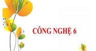 Cho biết các đặc điếm: Có kiểu dáng đơn giản - Công nghệ lớp 6
