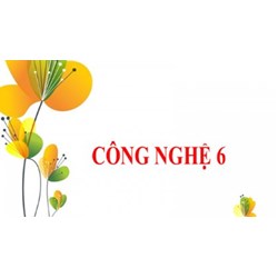 Cho biết các đặc điếm: Có kiểu dáng đơn giản - Công nghệ lớp 6
