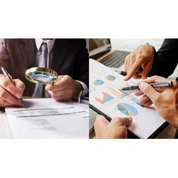 Mẫu đơn đề nghị cấp lại giấy chứng nhận kinh doanh kiểm toán cập nhật mới nhất 2024