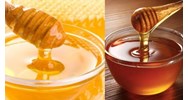 Quy định lấy mẫu mật ong tự nhiên để phân tích cảm quan