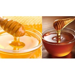 Quy định lấy mẫu mật ong tự nhiên để phân tích cảm quan
