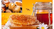 Nguyên tắc xác định hàm lượng prolin trong mật ong như thế nào?