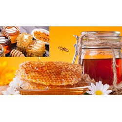 Nguyên tắc xác định hàm lượng prolin trong mật ong như thế nào?