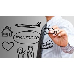Hình thức tổ chức hoạt động của doanh nghiệp bảo hiểm, tái bảo hiểm?