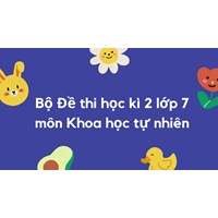 Bộ Đề thi học kì 2 lớp 7 môn Khoa học tự nhiên có đáp án mới nhất