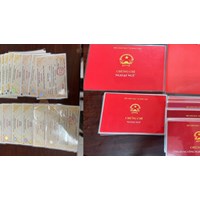 Xử lý kỷ luật đối với đảng viên sử dụng văn bằng, chứng chỉ giả