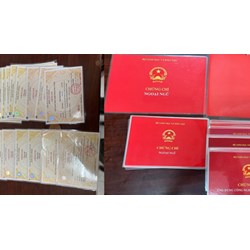Xử lý kỷ luật đối với đảng viên sử dụng văn bằng, chứng chỉ giả