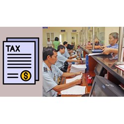 Trong một tờ khai hải quan được khai tối đa bao nhiêu dòng hàng?