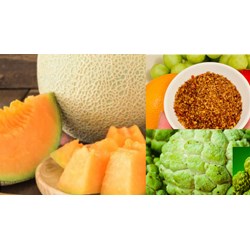 Đăng ký nhãn hiệu cho các sản phẩm OCOP tại Tây Ninh như thế nào?
