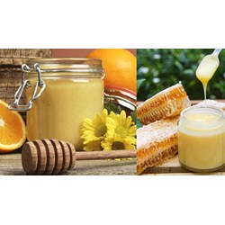 Mẫu thử sữa ong chúa phải được bảo quản ở nhiệt độ ra sao?