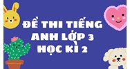 Đề thi Tiếng Anh lớp 3 Học kì 2 có đáp án mới nhất