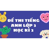 Đề thi Tiếng Anh lớp 3 Học kì 2 có đáp án mới nhất