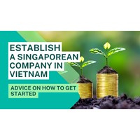 Establishing a Singaporean-owned Company in Vietnam: Your Guide