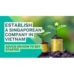 Establishing a Singaporean-owned Company in Vietnam: Your Guide