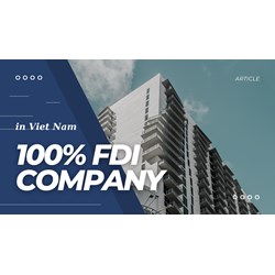 Two Paths to Establishing Your 100% FDI Enterprise in Viet Nam
