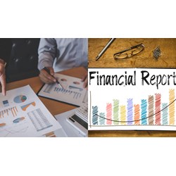 Báo cáo tình hình hoạt động năm của chi nhánh công ty chứng khoán nước ngoài tại Việt Nam