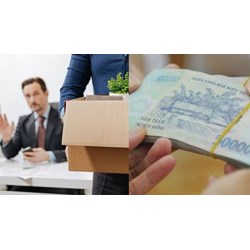 Trợ cấp thôi việc người làm việc nhiều nơi chưa nhận trợ cấp thôi việc