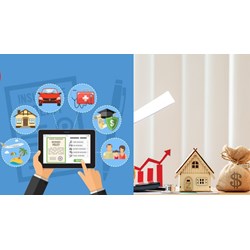 Có thu hồi giấy phép hoạt động khi doanh nghiệp bảo hiểm sức khỏe bị tuyên bố phá sản