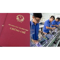 Mức phạt sử dụng chứng chỉ giáo dục nghề nghiệp bị tẩy xóa làm sai lệch nội dung