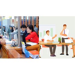Căn cứ xác định vị trí việc làm viên chức chuyên ngành tài chính