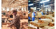 Quy định loại điều kiện sử dụng áp dụng cho gỗ và sản phẩm gỗ