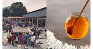 Cư dân có được trao đổi buôn bán mật ong tự nhiên qua biên giới?