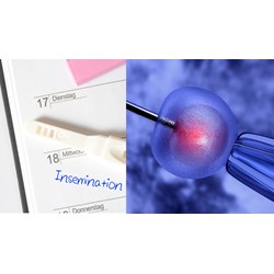 Nguyên tắc phải tuân thủ khi thực hiện thụ tinh trong ống nghiệm