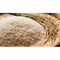 Đăng ký nhãn hiệu cho sản phẩm OCOP tại Sóc Trăng như thế nào?