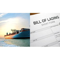 Vận đơn đường biển thay thế không đảm bảo nội dung người vận chuyển?