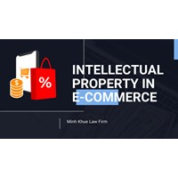 The Power: Intellectual Property in the E-commerce Revolution
