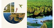 Việt Nam là thành viên thứ bao nhiêu gia nhập vào Công ước Ramsar?