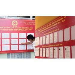 Mỗi đơn vị bầu cử đại biểu Quốc hội được bầu bao nhiêu đại biểu?