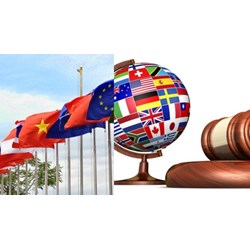 Căn cứ Chính phủ chấp nhận sự ràng buộc của điều ước quốc tế