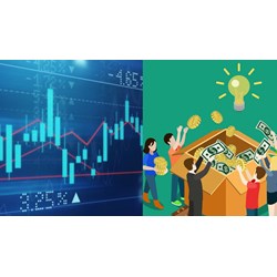 Công ty quản lý quỹ đầu tư bị đình chỉ hoạt động được lập chi nhánh?