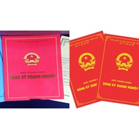 Phạt báo cáo sai thời hạn khi có yêu cầu của cơ quan đăng ký kinh doanh