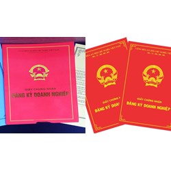 Phạt báo cáo sai thời hạn khi có yêu cầu của cơ quan đăng ký kinh doanh