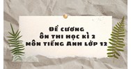 Đề cương ôn thi học kì 2 môn tiếng Anh lớp 12 đầy đủ, chi tiết