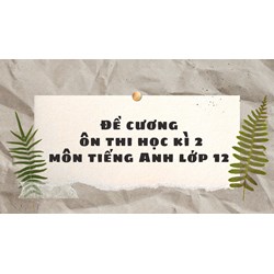 Đề cương ôn thi học kì 2 môn tiếng Anh lớp 12 đầy đủ, chi tiết
