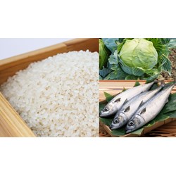Đăng ký nhãn hiệu cho các sản phẩm OCOP tại Nam Định mới nhất