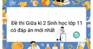 Đề thi Giữa kì 2 Sinh học lớp 11 có đáp án mới nhất