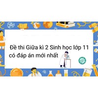 Đề thi Giữa kì 2 Sinh học lớp 11 có đáp án mới nhất