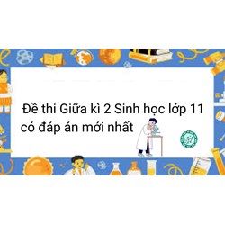 Đề thi Giữa kì 2 Sinh học lớp 11 có đáp án mới nhất