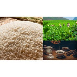 Đăng ký nhãn hiệu cho các sản phẩm OCOP tại Điện Biên mới nhất