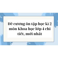 Đề cương ôn tập học kì 2 môn Khoa học lớp 4 chi tiết, mới nhất