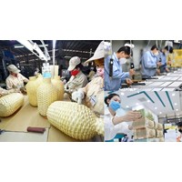 Doanh nghiệp nhỏ và vừa khởi nghiệp sẽ được hỗ trợ vay vốn
