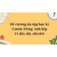 Đề cương ôn tập học kì 2 môn Tiếng Anh lớp 11 đầy đủ, chi tiết