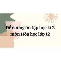 Đề cương ôn tập học kì 2 môn Hóa học lớp 12 đầy đủ nhất