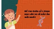 Đề thi Giữa kì 2 Sinh học lớp 10 có đáp án mới nhất