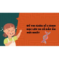 Đề thi Giữa kì 2 Sinh học lớp 10 có đáp án mới nhất