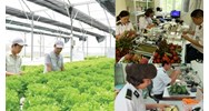Biện pháp kiểm dịch thực vật có được áp dụng đối với hàng hóa là giống cây trồng không?